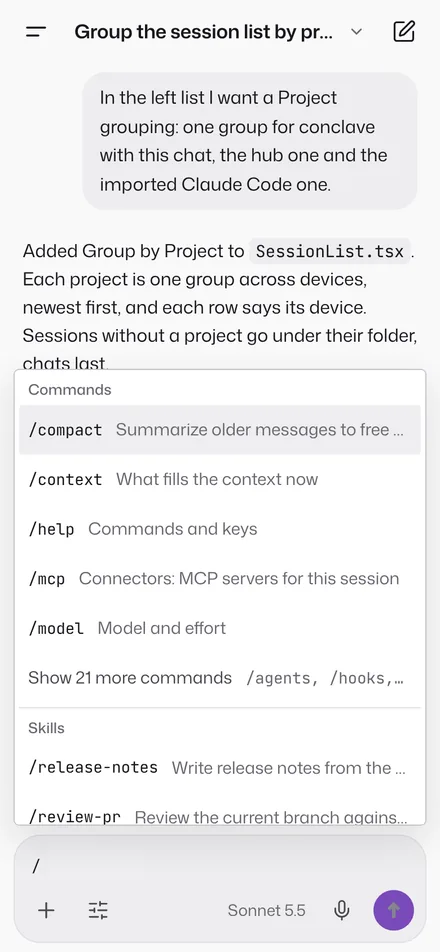 The slash menu on a phone, with commands and skills.
